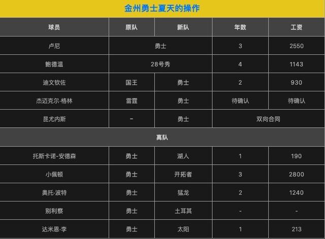 篮网球员构成比例图表分析,篮网队球员数据统计