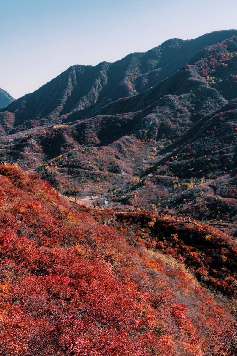 水峪村篮球比赛时间表今天,水峪村游记