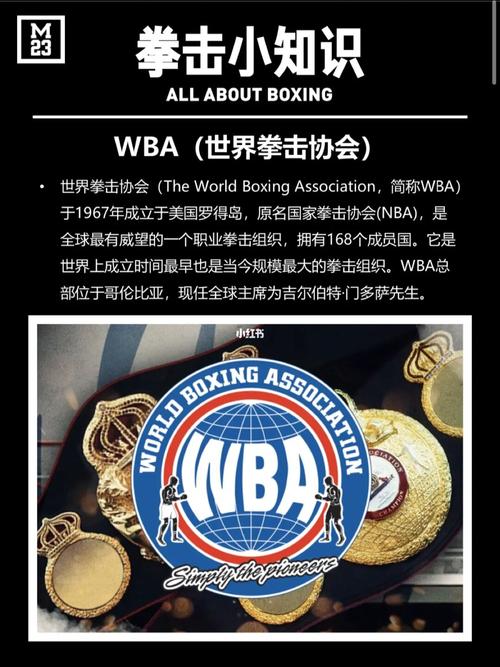 wba世界拳王争霸赛报名,wba世界拳击协会官网